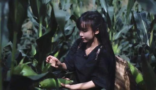 董宇辉5亿排第四 定了！具有注目经验的她将成为下一代“国女郎”-2023年主播净收入50强揭晓：幼杨哥32亿位列榜首